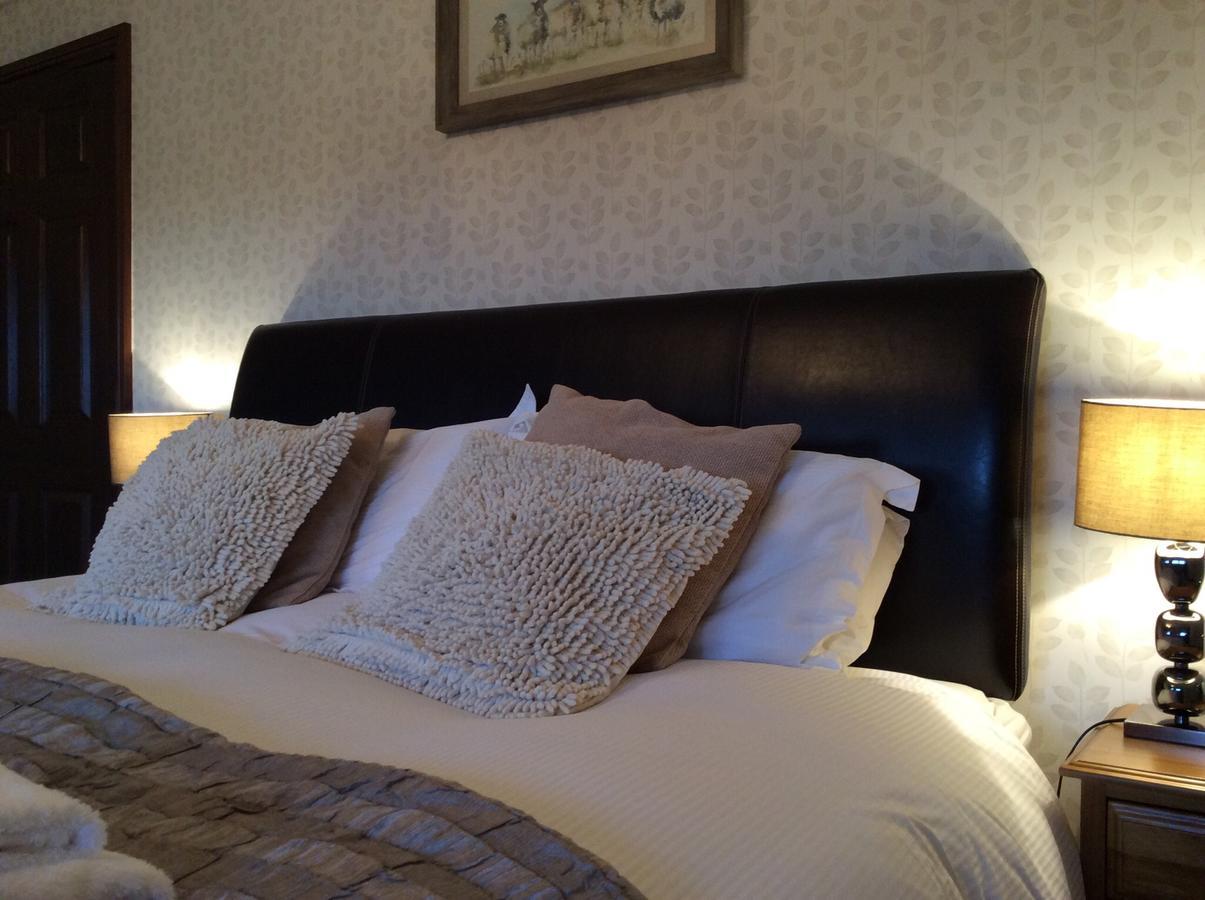 バラ Cysgod Y Garn Bed & Breakfast エクステリア 写真