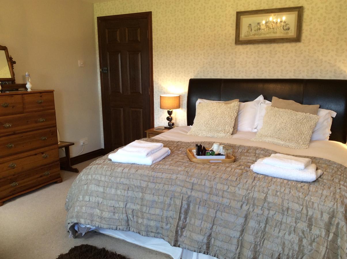バラ Cysgod Y Garn Bed & Breakfast エクステリア 写真