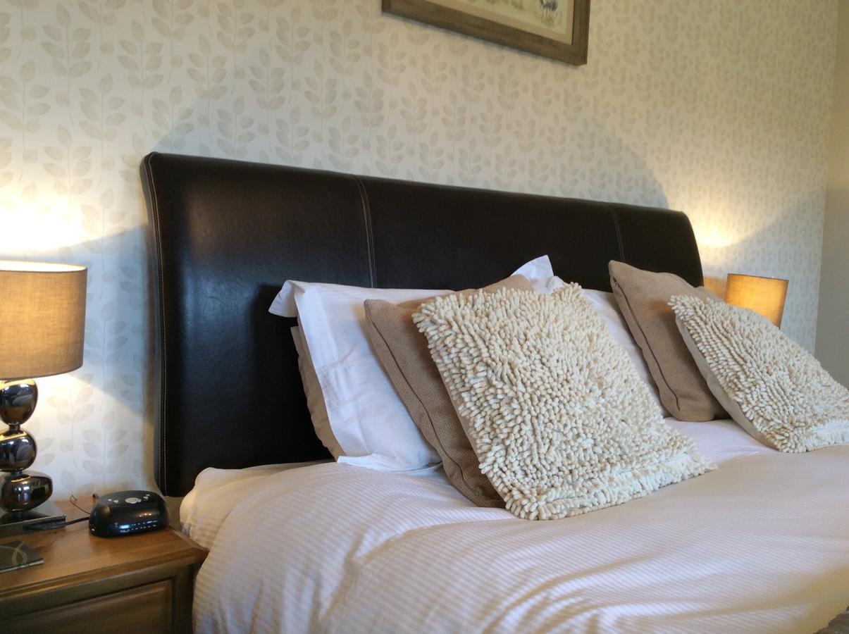 バラ Cysgod Y Garn Bed & Breakfast エクステリア 写真